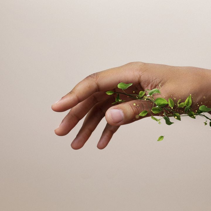 What Regenerative Business Means—and How to Make It Work
